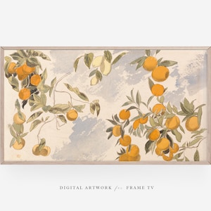 Vintage Citrus Fruit Tree Art for Samsung Frame TV (Digital Download)