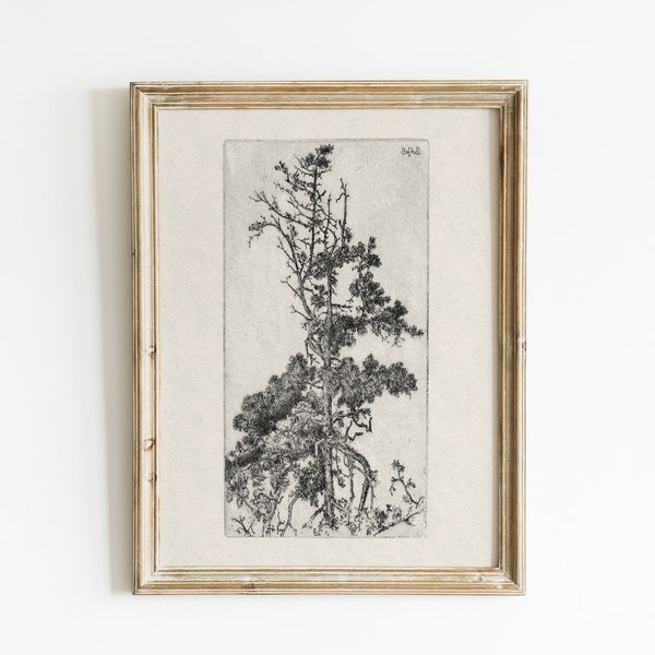 Vintage sketch, tree sketch, vintage art, tree drawing, sketch art, botanical print, antique sketch, forest print, ink drawing