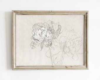 Peony Sketch Art Print: Vintage Floral Botanical Drawing (Digital Download)