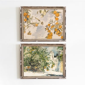 Vintage Orange Botanical Art Prints: Summer Still Life Painting (Digital Download)