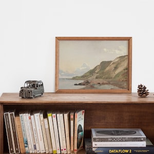 May include: A wooden shelf with a framed painting of a coastal landscape, a small metal toy car, two pine cones, and a collection of books. The books include titles like "Woodcut" and "Dataflow 2".