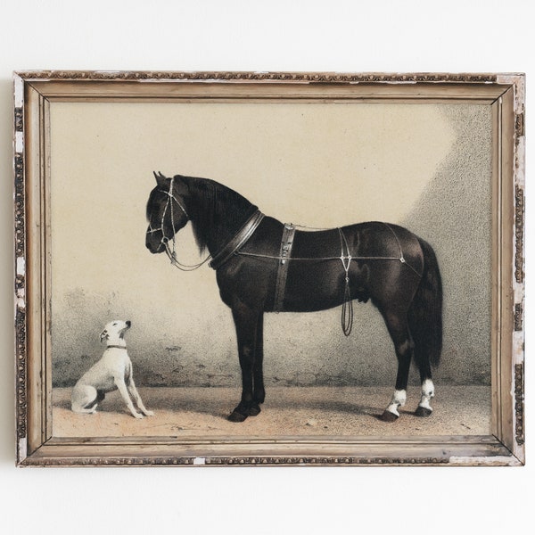 Dog print, horse print, animal wall art, vintage print, lithograph print, vintage animal art, farm art, antique horse print, vintage dog