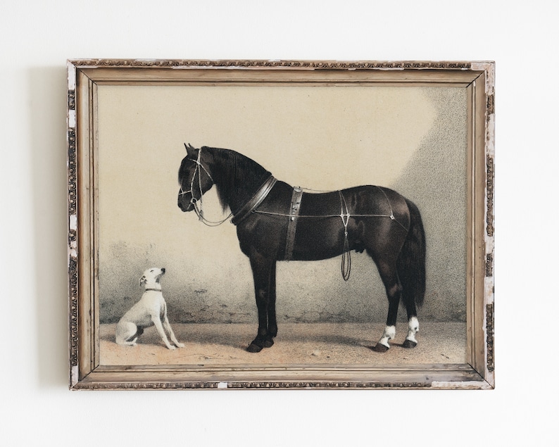 Dog print, horse print, animal wall art, vintage print, lithograph print, vintage animal art, farm art, antique horse print, vintage dog image 1