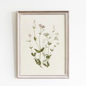 Vintage Wildflower Botanical Art Print: French Country Decor (Digital Download)