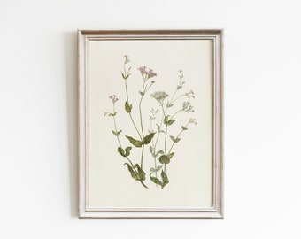 Vintage Wildflower Botanical Art Print: French Country Decor (Digital Download)