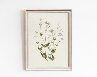 Vintage wildflower print, French country decor, floral wall art, flower wall art, vintage botanical art print, antique flower drawing art