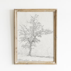 Vintage Oak Tree Sketch Art Print: Botanical Drawing (Digital Download)