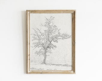 Sketch art, tree sketch, botanical print, vintage tree print, vintage art, tree drawing, antique drawing, sketch print, printable wall art