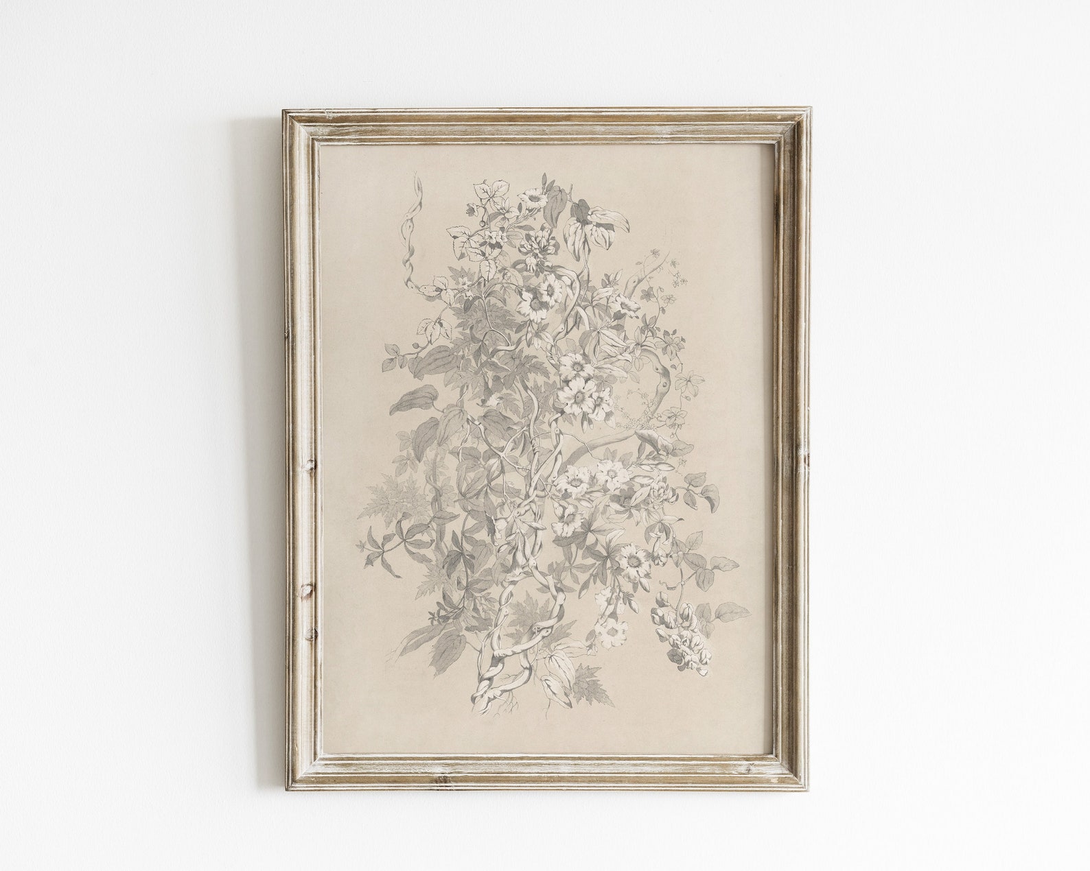 Vintage Floral Sketch Wall Art Antique Botanical Drawing Etsy