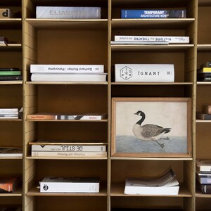 May include: A wooden bookshelf with multiple shelves filled with books. The shelves are organized by color and subject matter. The books are mostly about architecture and design. There is a framed print of a goose on one of the shelves.