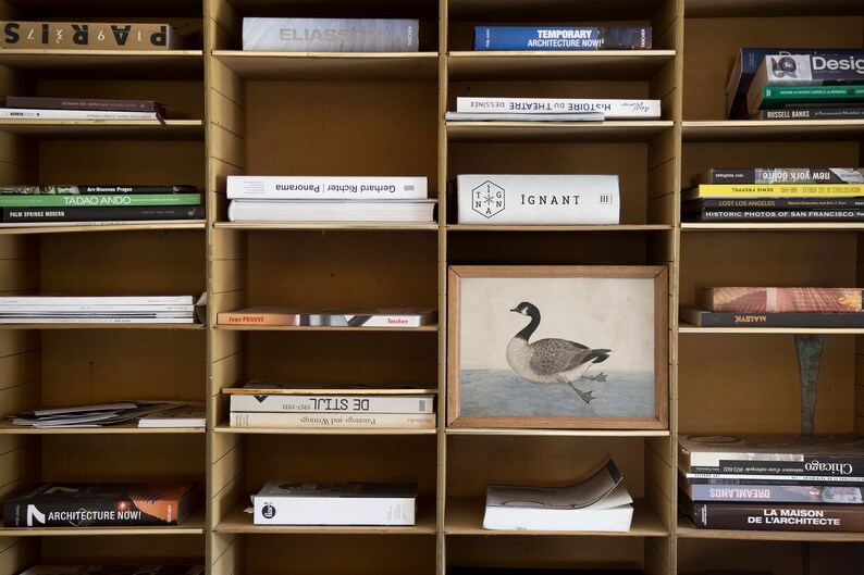 May include: A wooden bookshelf with multiple shelves filled with books. The shelves are organized by color and subject matter. The books are mostly about architecture and design. There is a framed print of a goose on one of the shelves.