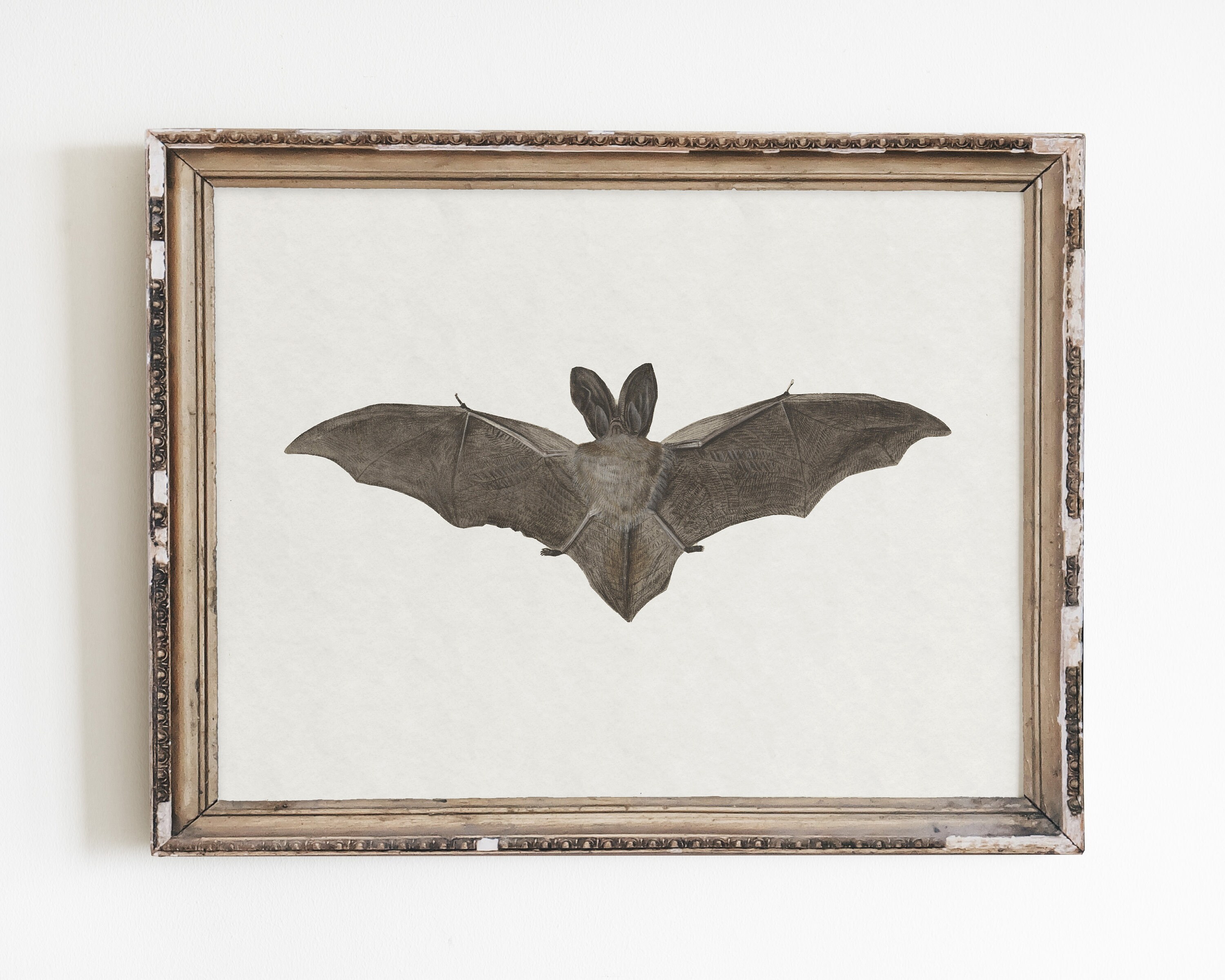 コウモリの絵画、ヴィンテージハロウィーンアートプリント