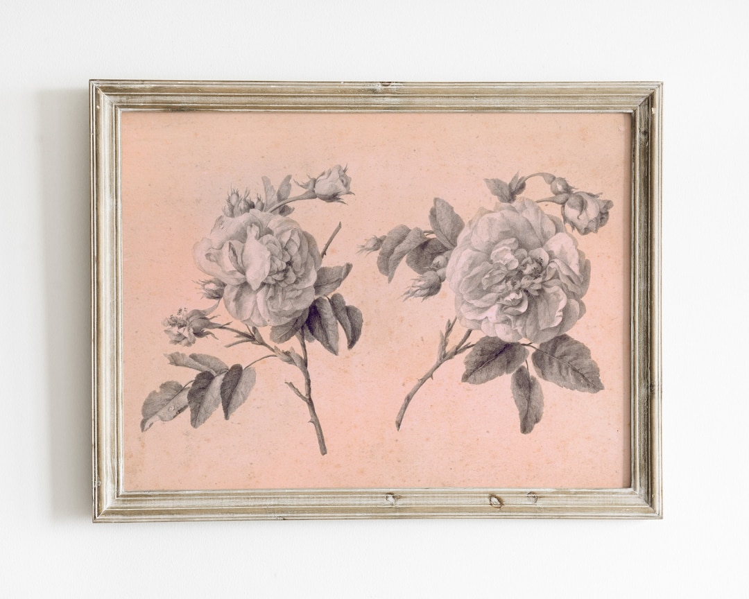 Pink Rose Art Print, Pastel Spring Floral Wall Art, French Country ...