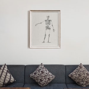 May include: A framed black and white anatomical illustration of a human skeleton in a standing pose. The skeleton is labeled with anatomical terms. The frame is white and has a simple design.