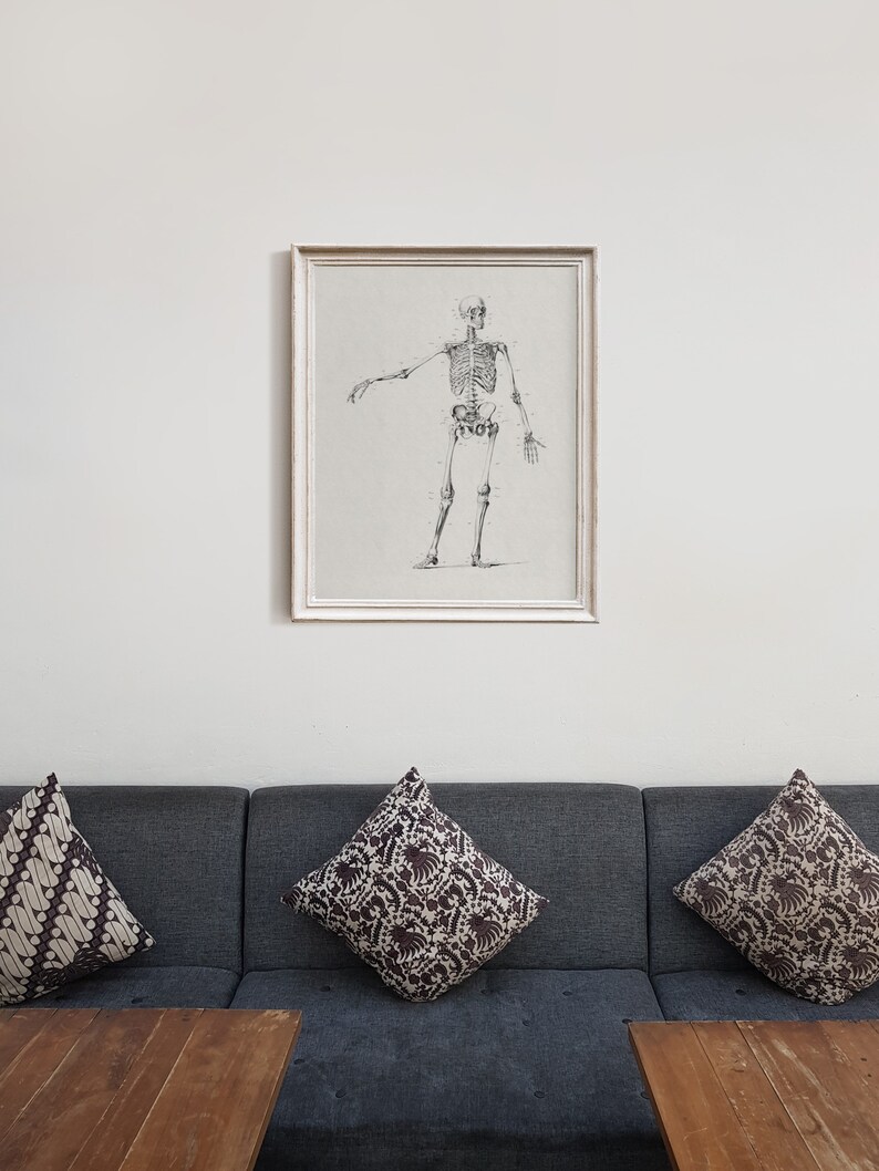 May include: A framed black and white anatomical illustration of a human skeleton in a standing pose. The skeleton is labeled with anatomical terms. The frame is white and has a simple design.