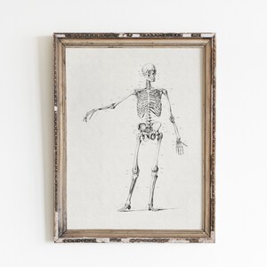 May include: A black and white anatomical illustration of a human skeleton in a vintage style frame.