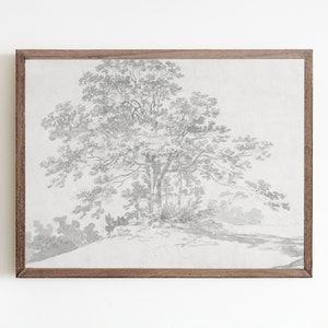 Vintage Oak Tree Sketch Art Print: Antique Botanical Landscape (Digital Download)