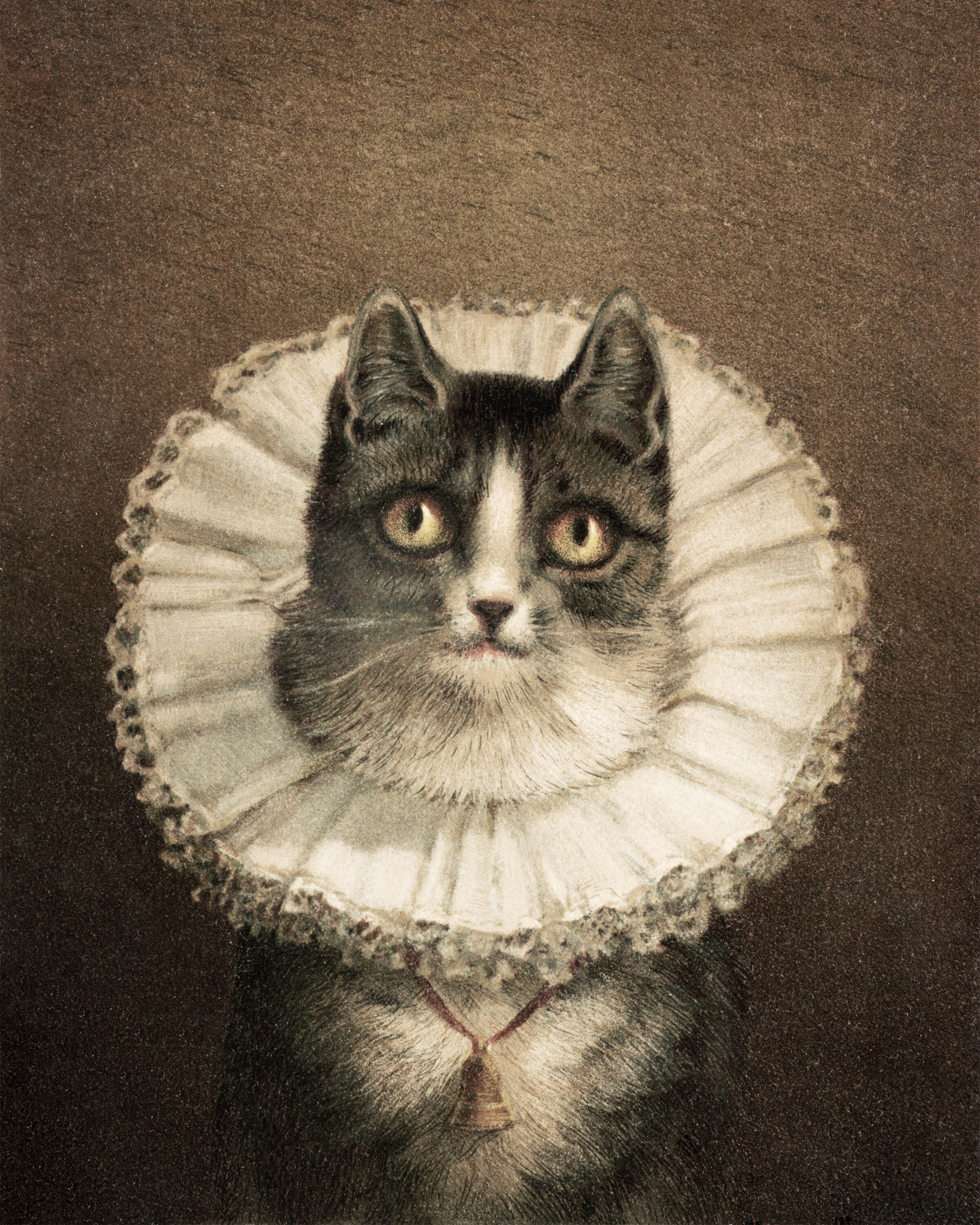 Impresión artística de retrato de gato vintage: Decoración de pared bohemia  de Halloween (descarga digital) - Etsy México, image size:2400x3000