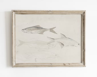 Può includere: Una stampa incorniciata con schizzi dettagliati di diversi pesci. L'opera d'arte è principalmente in tonalità di grigio e bianco, con un focus sulla forma e le pinne dei pesci. La cornice è di colore argento chiaro.