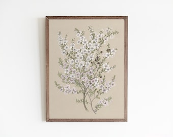 Vintage Botanical Flower Art Print: Antique Wildflower Illustration Wall Decor (Digital Download)
