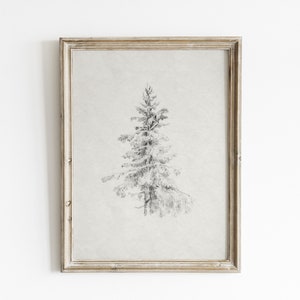 Vintage forest tree art, evergreen tree print, tree sketch art, antique nature wall art, neutral forest botanical art print, tree prints