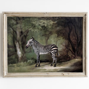 Antique Zebra Print - Etsy