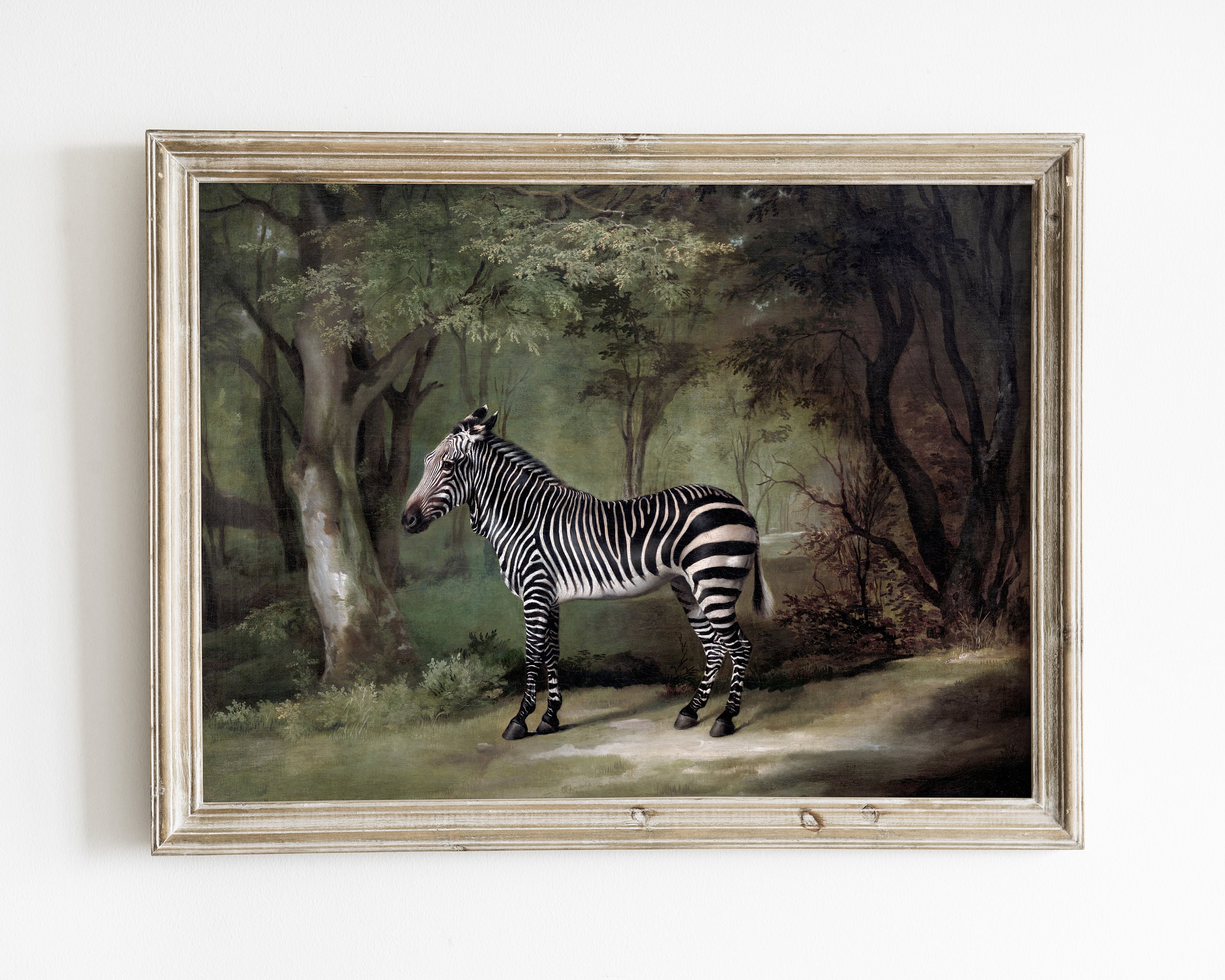 手書き油絵 5頭のシマウマ 絵画 インテリア 油彩画 楽天市場】シマウマ（油彩画｜絵画）：アート・美術品・骨董品