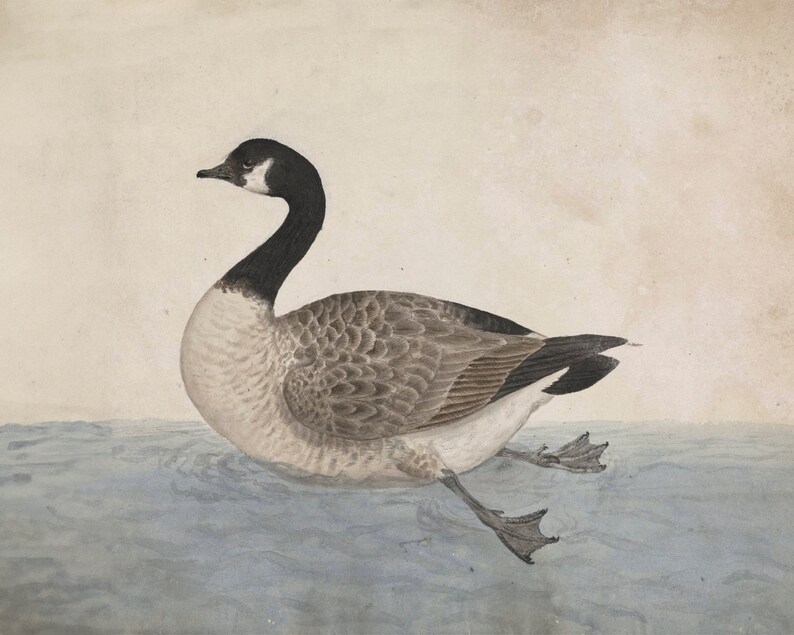 Vintage goose print, antique goose painting, printable farmhouse wall art image 2