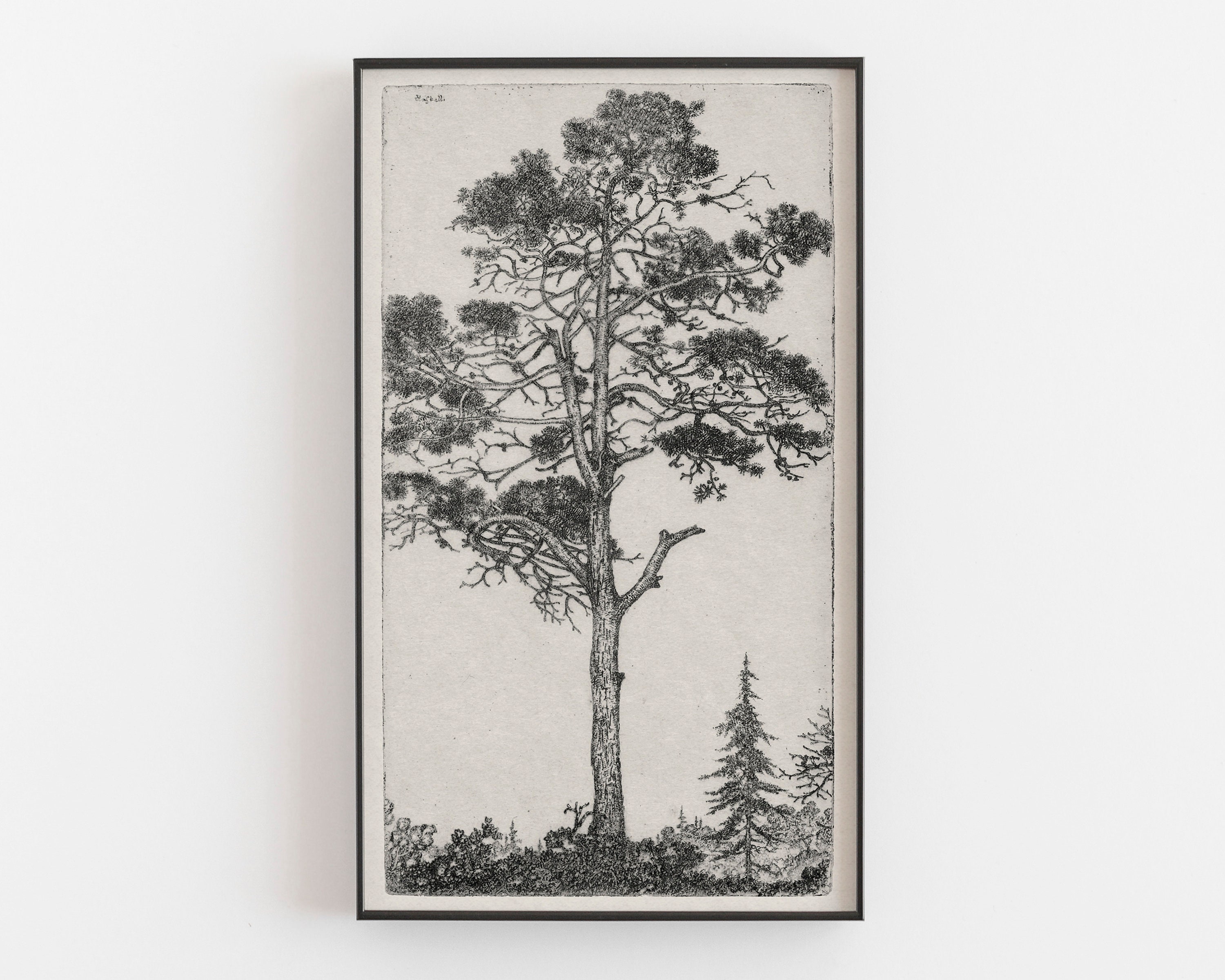 Tree Drawing Sketch Print Vintage Drawing Tree Sketch Etsy