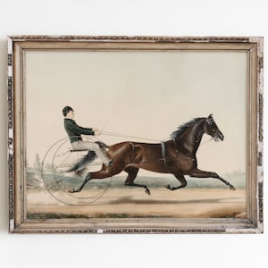 May include: A framed painting depicting a brown horse pulling a carriage with a person in a green jacket and black cap driving. The horse is running at full speed on a dirt road.