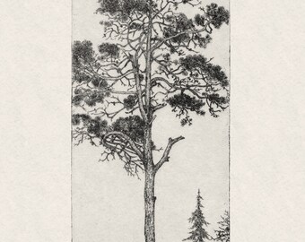 アンティーク　絵画　自然　山　木 気質アップ】 Amazon.co.jp: 風景 油絵 油彩画 受注制作 F6号 奥