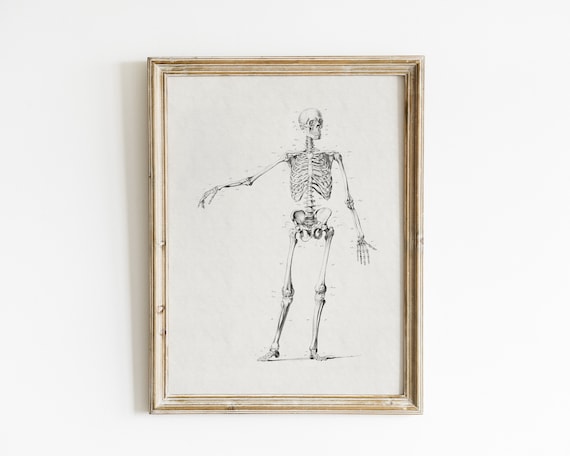Vintage Skeleton Art Print: Halloween Macabre Decor (Digital Download)