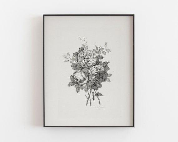 ヴィンテージローズデッサン：植物の花の静物画プリント（デジタル