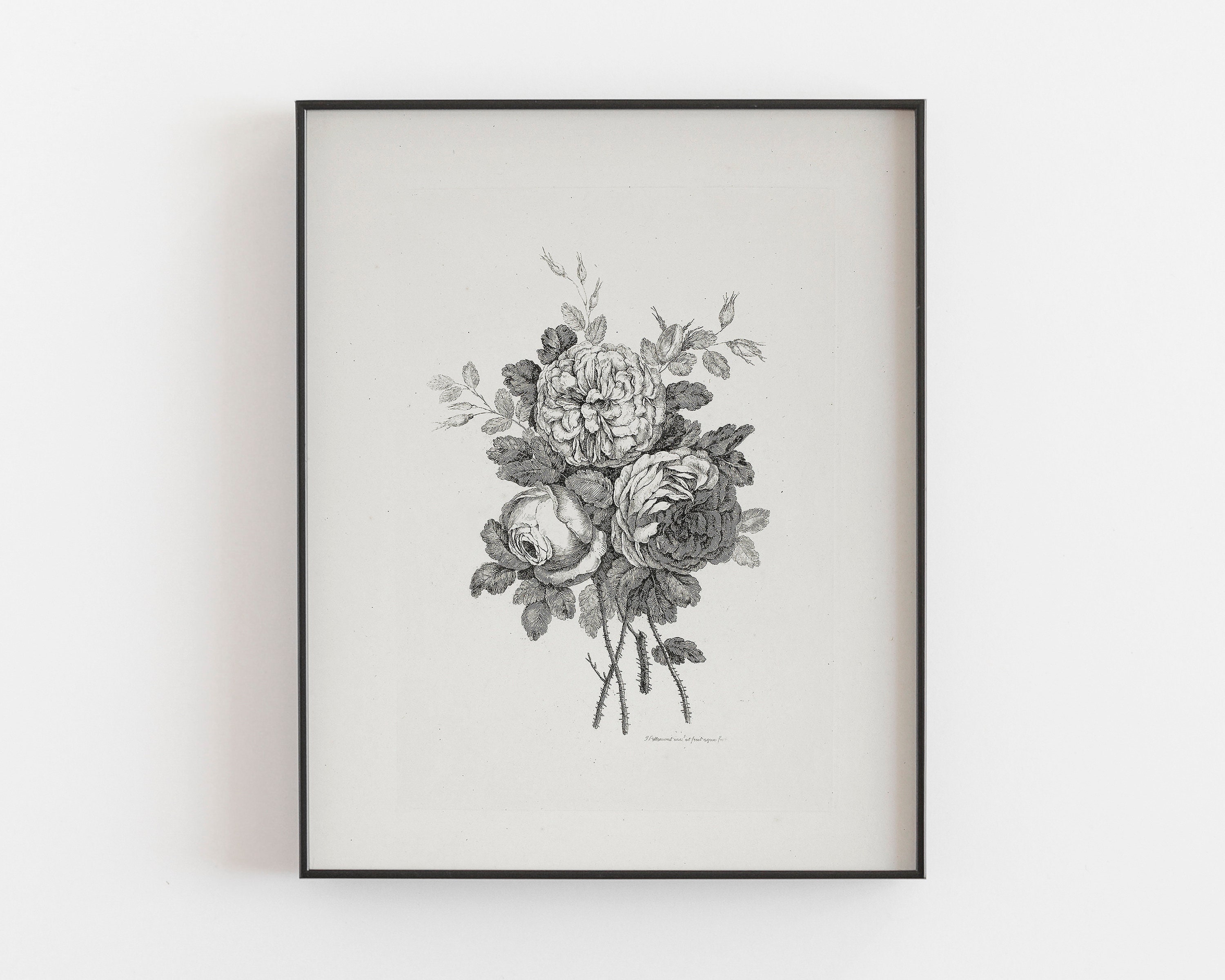 ヴィンテージローズデッサン：植物の花の静物画プリント（デジタル