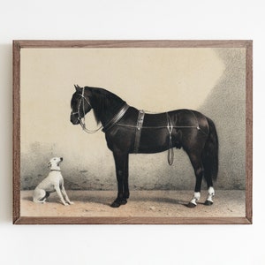 Dog print, horse print, animal wall art, vintage print, lithograph print, vintage animal art, farm art, antique horse print, vintage dog image 6