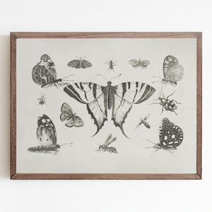 Vintage Insect Illustration Collection Digital Download – Black & White Entomology Print, Antique Bug Art, Nature Wall Decor (Printable)