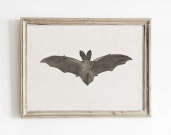Vintage Bat Art Print: Spooky Halloween Wall Decor (Digital Download)