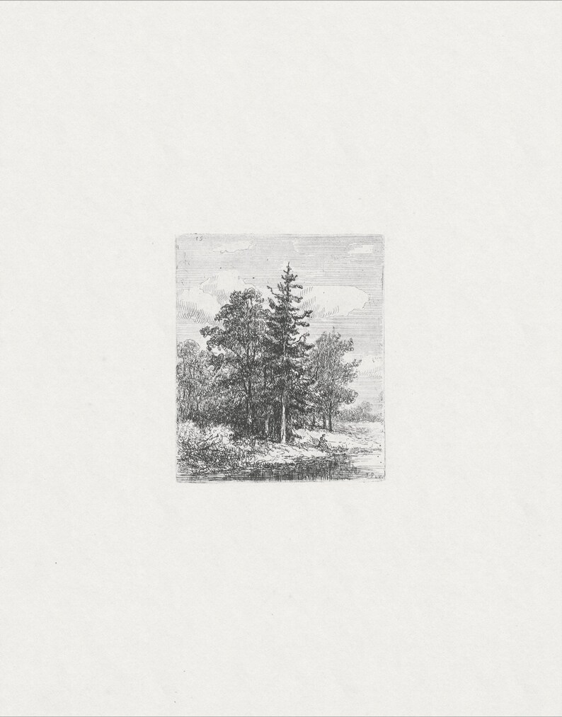 May include: A black and white engraving of a group of trees in a forest setting. The trees are tall and slender, with branches that reach up towards the sky. The engraving is detailed and realistic, capturing the beauty of the natural world.