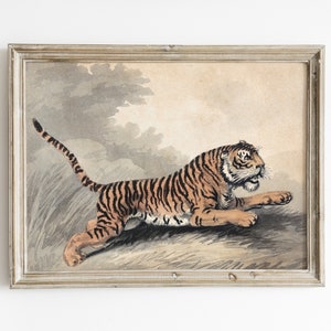 Vintage Tiger Print | Tiger Wall Art | Vintage Wall Art | Wild Cat Art ...