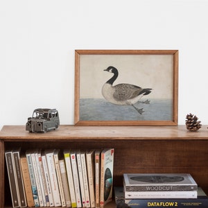 May include: A wooden shelf with a framed print of a goose, a small toy car, and a few books. The books include titles like "Woodcut" and "Dataflow 2".