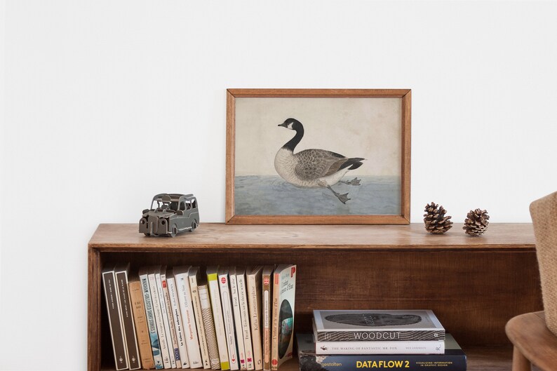 May include: A wooden shelf with a framed print of a goose, a small toy car, and a few books. The books include titles like "Woodcut" and "Dataflow 2".