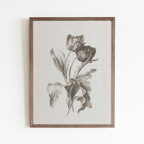 Vintage Floral Sketch Wall Art Antique Botanical Drawing Etsy