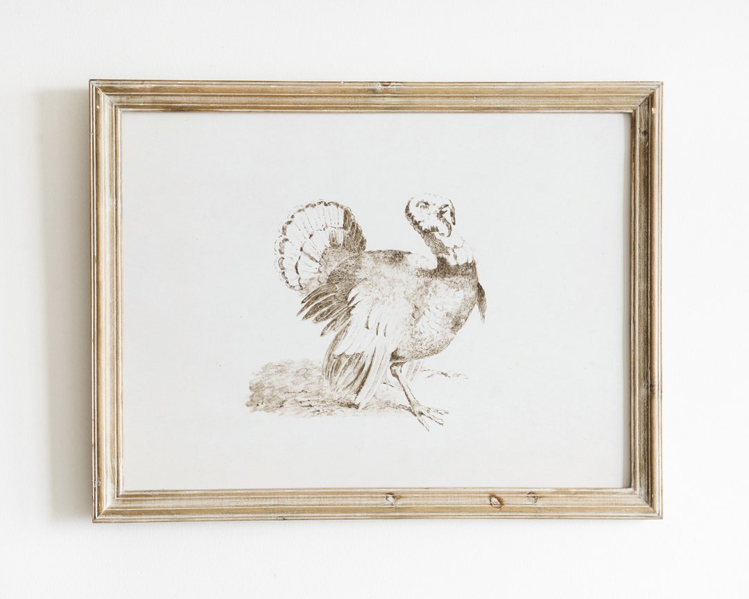 Vintage Turkey Sketch Art Print: Farmhouse Thanksgiving Decor (digital ...