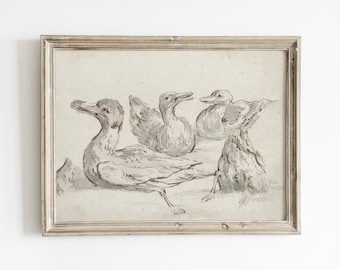 Vintage Duck Sketch Printable Wall Art, Antique Bird Illustration, Rustic Farmhouse Art (Digital Download)