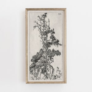 Botanical Wall Art Vintage Tree Drawing Tree Illustration Etsy