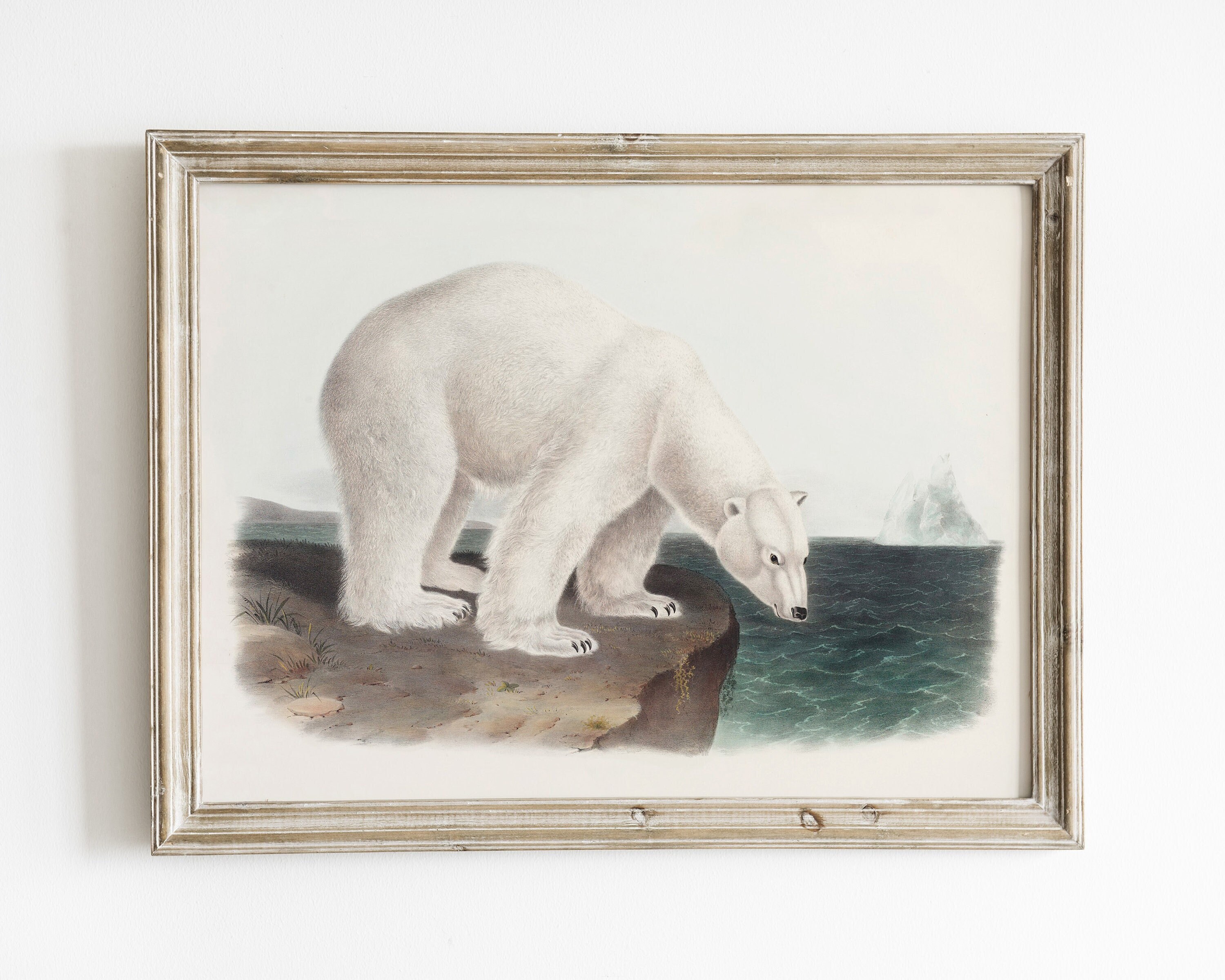 Vintage polar bear - Etsy 日本