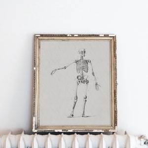May include: A black and white anatomical illustration of a human skeleton in a gold frame. The skeleton is standing with its arms outstretched.