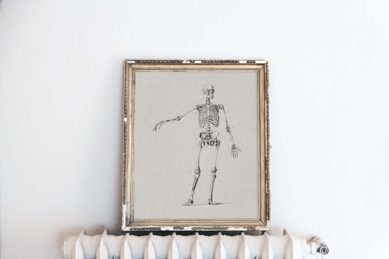 May include: A black and white anatomical illustration of a human skeleton in a gold frame. The skeleton is standing with its arms outstretched.