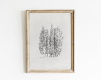 Cypress Grove Vintage Tree Sketch Art Print (Digital Download)