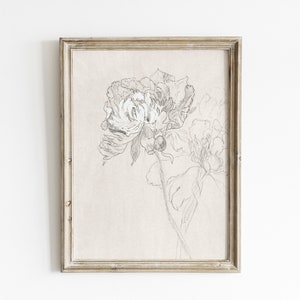 Vintage Peony Sketch: Botanical Floral Line Art Print (Digital Download)
